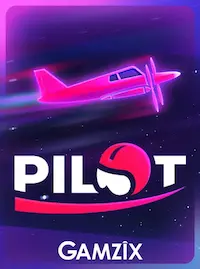 Pilot Pilot crash at ZIGO COM